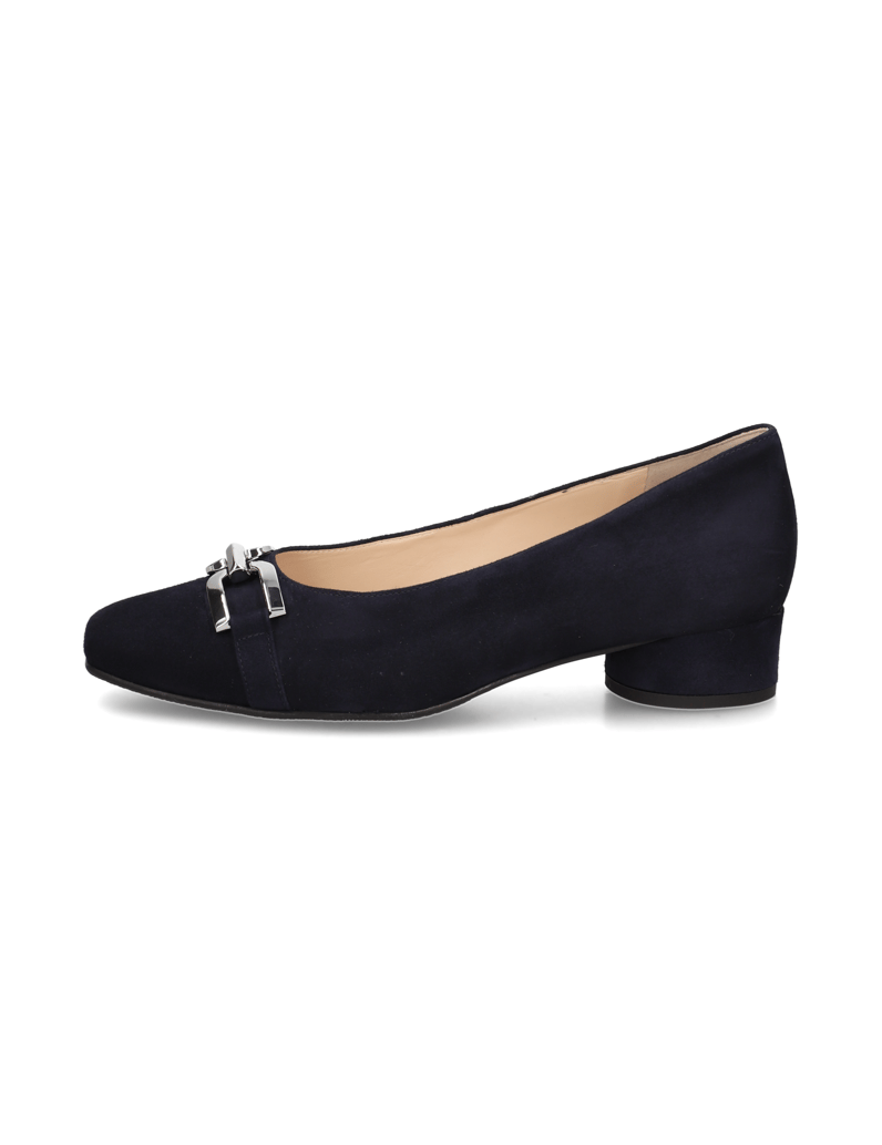 HASSIA-Pumps-blau