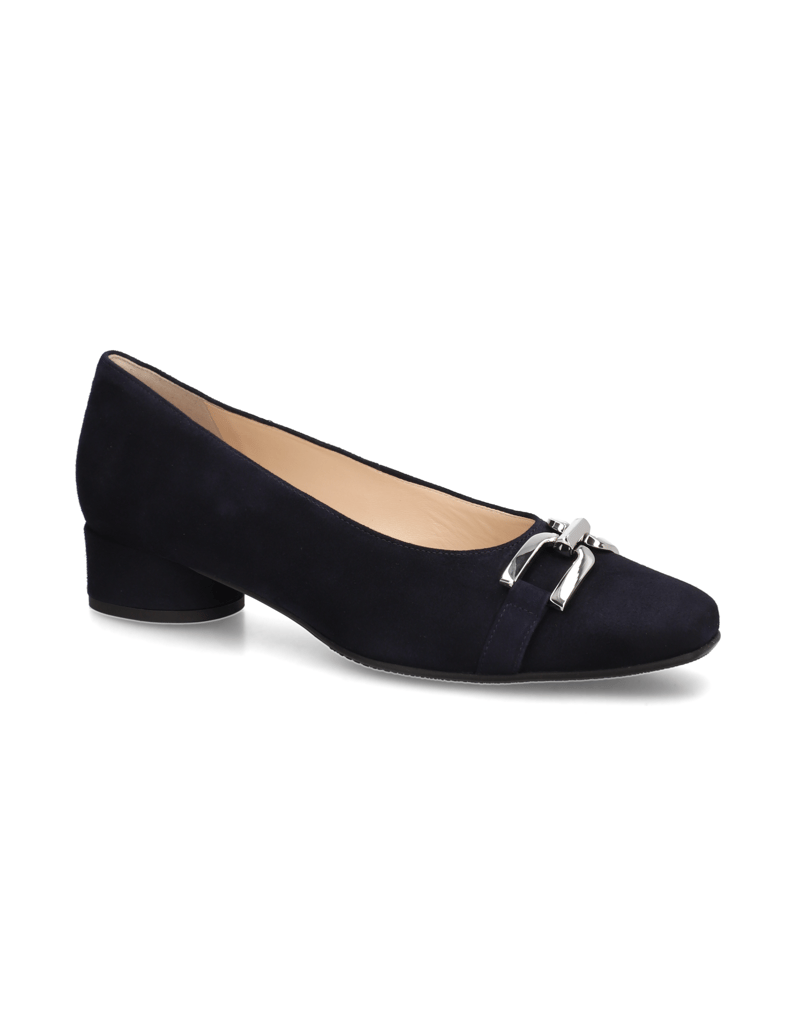 HASSIA-Pumps-blau