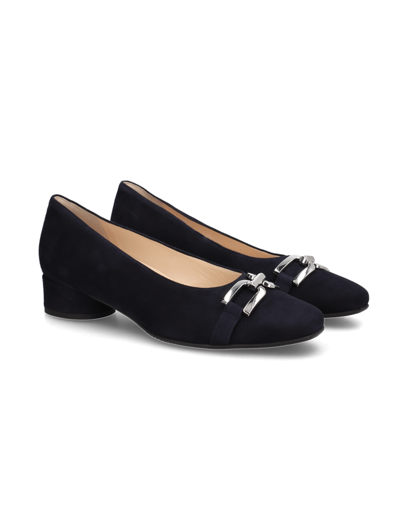HASSIA-Pumps-blau