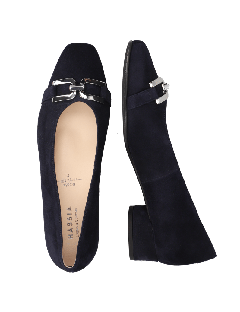 HASSIA-Pumps-blau