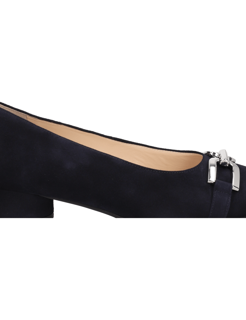 HASSIA-Pumps-blau