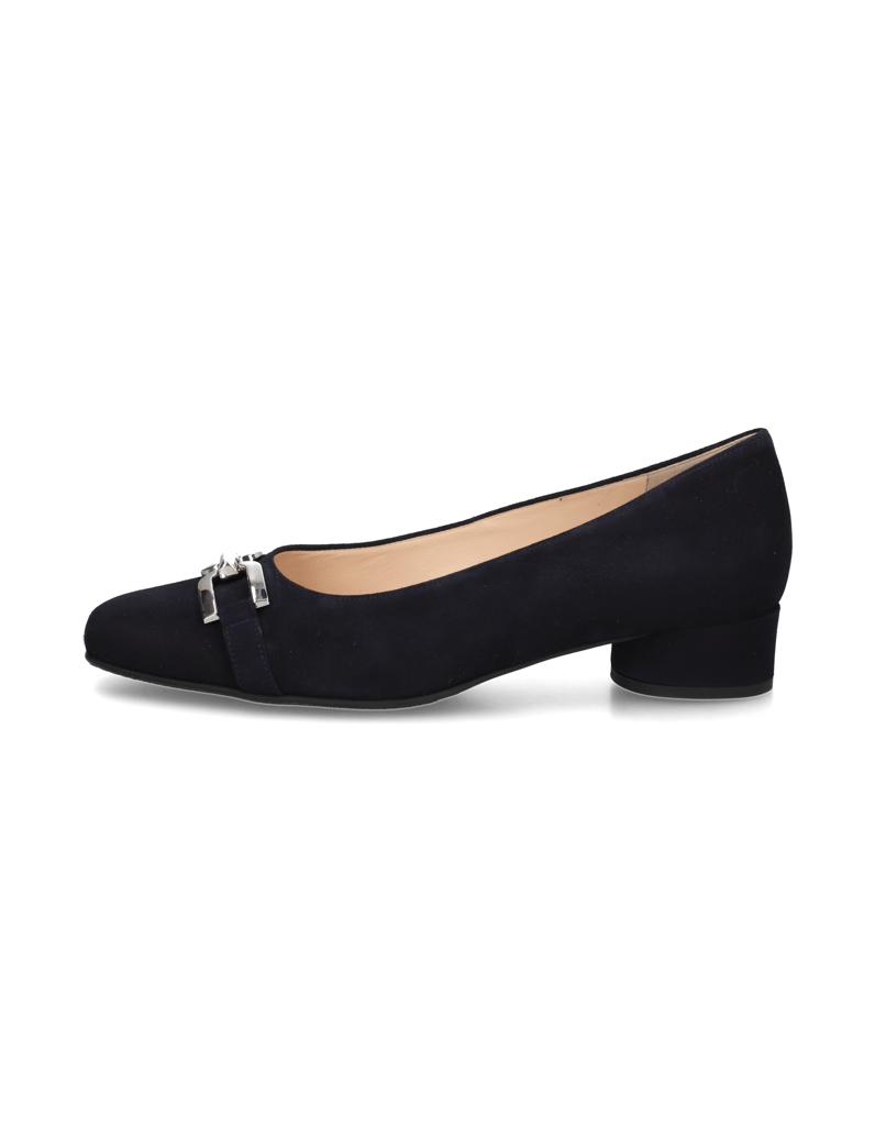 HASSIA-Pumps-blau