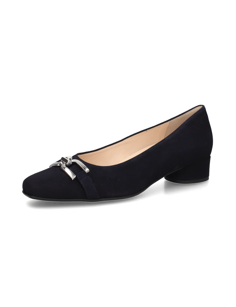 HASSIA-Pumps-blau