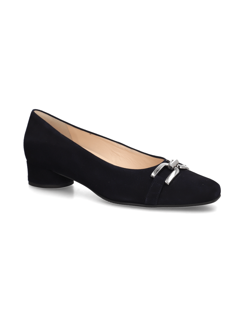 HASSIA-Pumps-blau