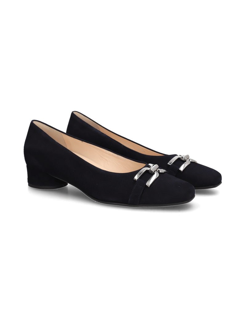 HASSIA-Pumps-blau