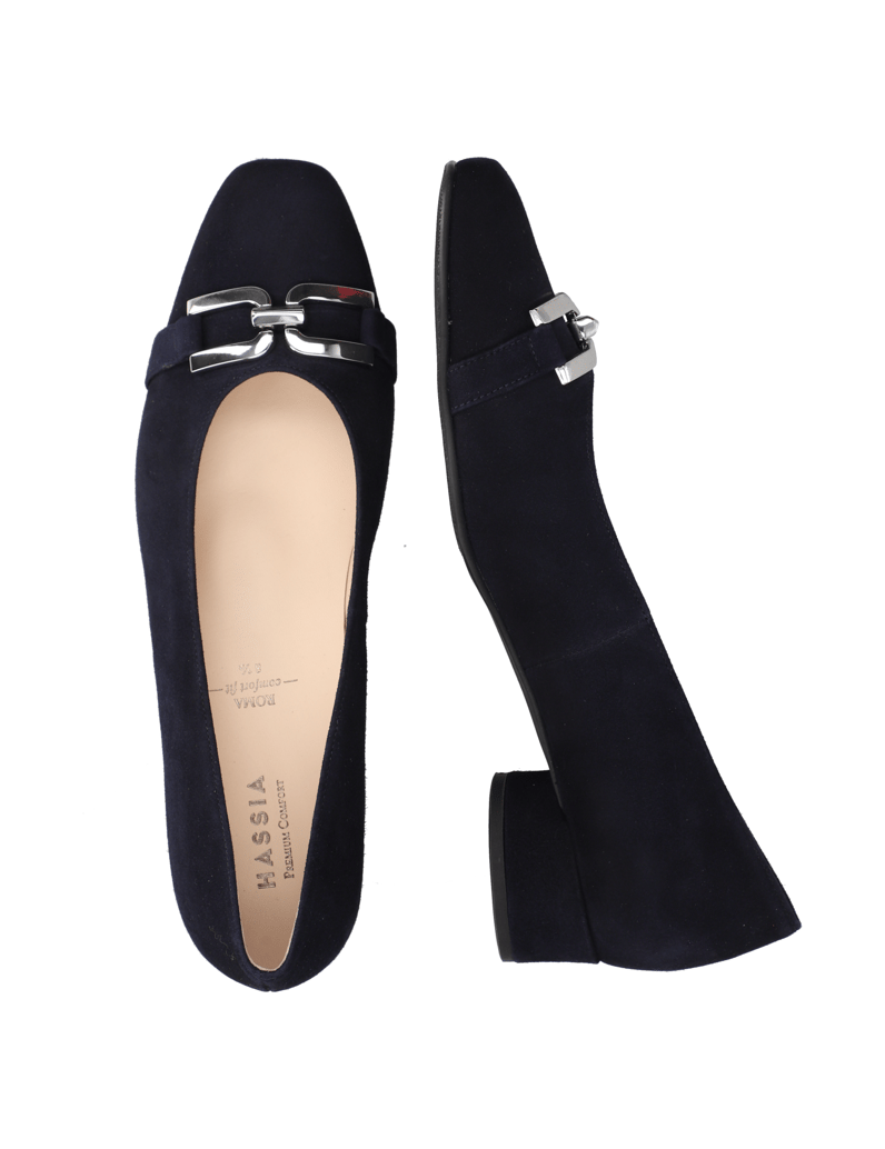 HASSIA-Pumps-blau