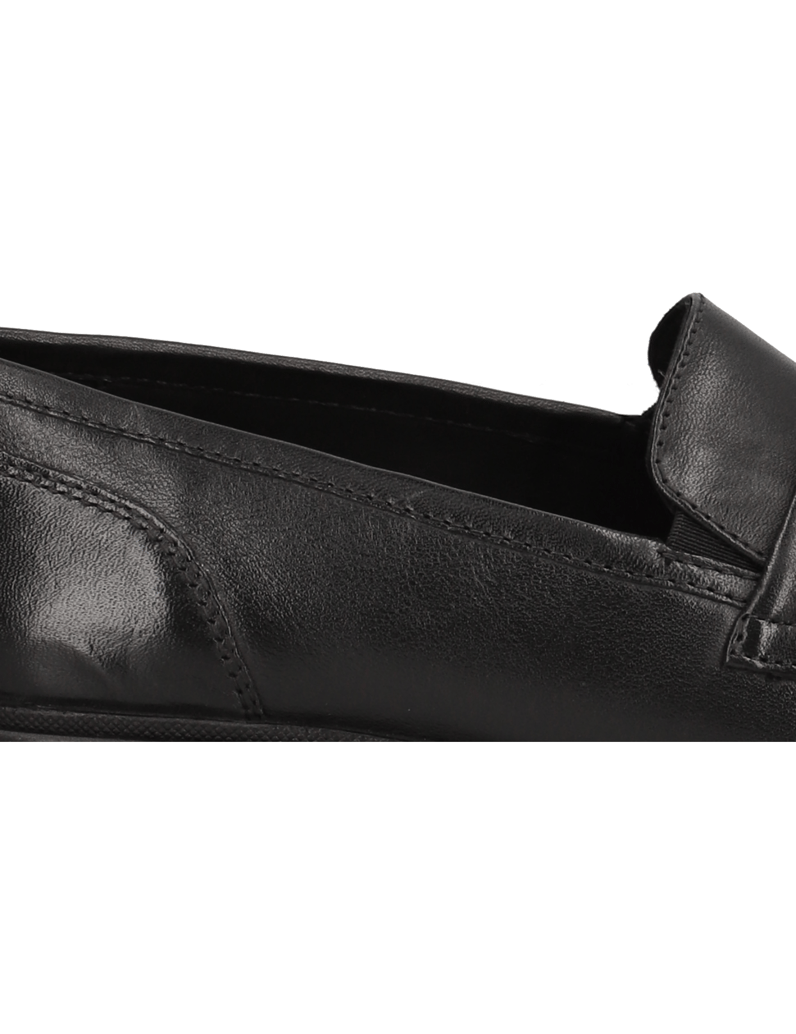 Ara-CAMBRIDGE-černá