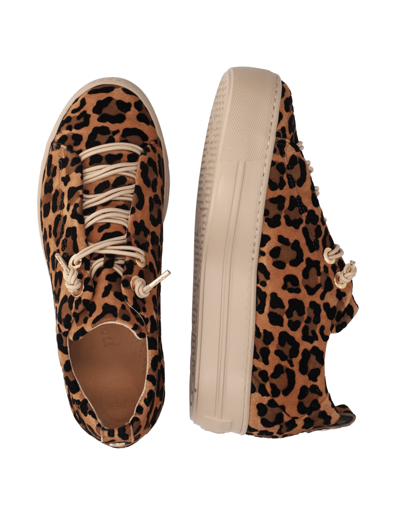 PAUL-GREEN-semiš-usnje-superge