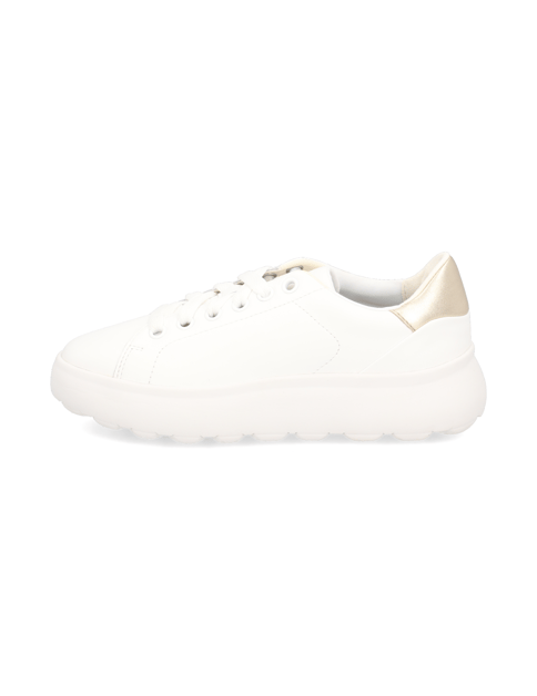 

D SPHERICA EC4.1, Biela