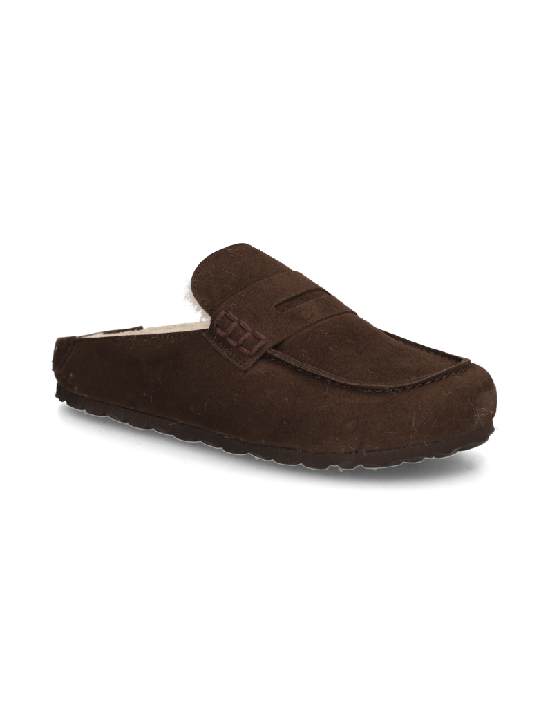 Verbenas-MOVY-COCCON-rjava