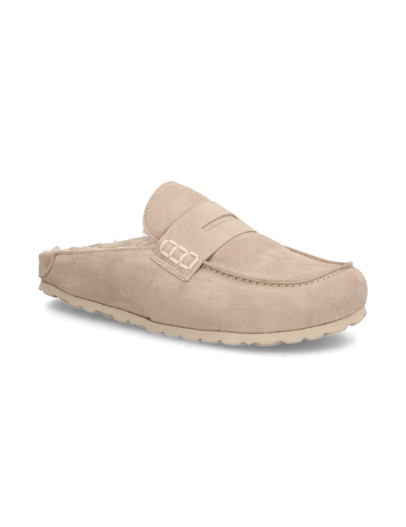 Verbenas-MOVY-COCCON-braun
