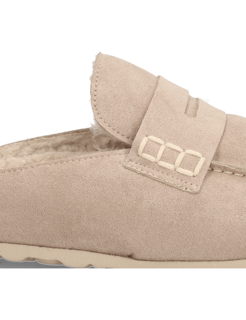 Verbenas-MOVY-COCCON-braun