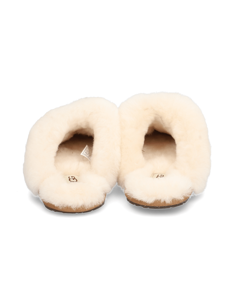 UGG-W-SCUFFETTE-II