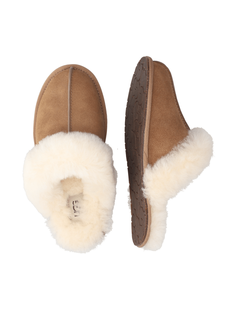 UGG-SCUFFETTE-II-konjak