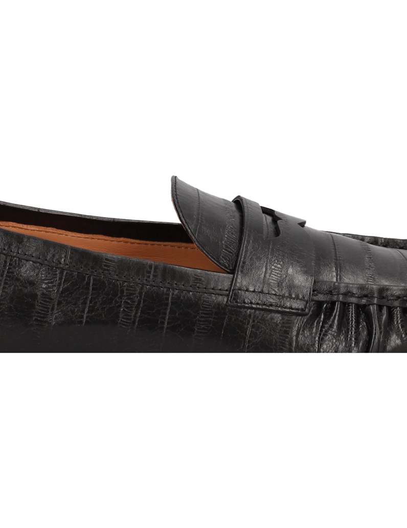 Kazar-DIONEA-schwarz