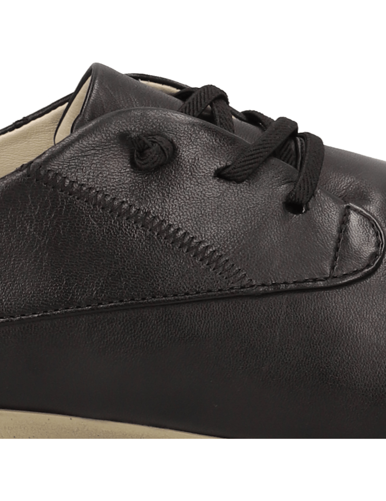 JOSEF-SEIBEL-FIONA-schwarz