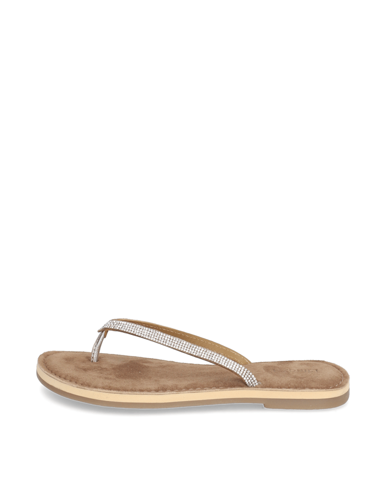 Minozzi-Zehentrenner