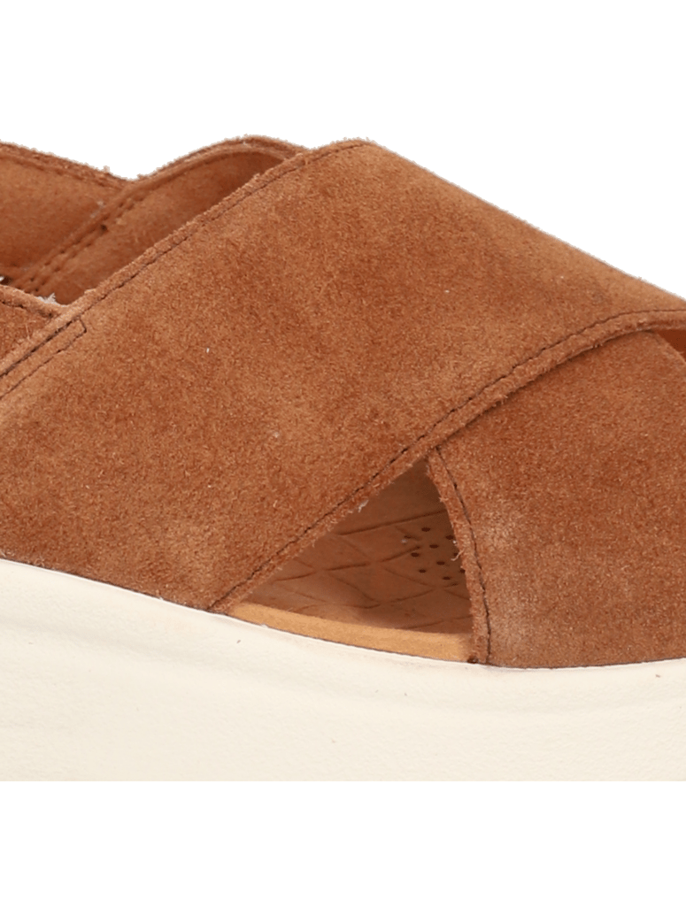 Clarks-DashLite-Wish