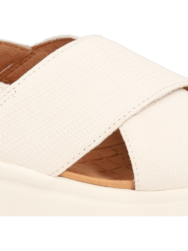 Clarks-DashLite-Wish