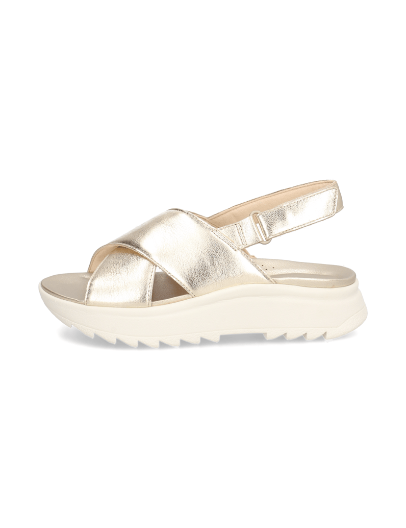 Clarks-W-DashLite-Wish-zlata