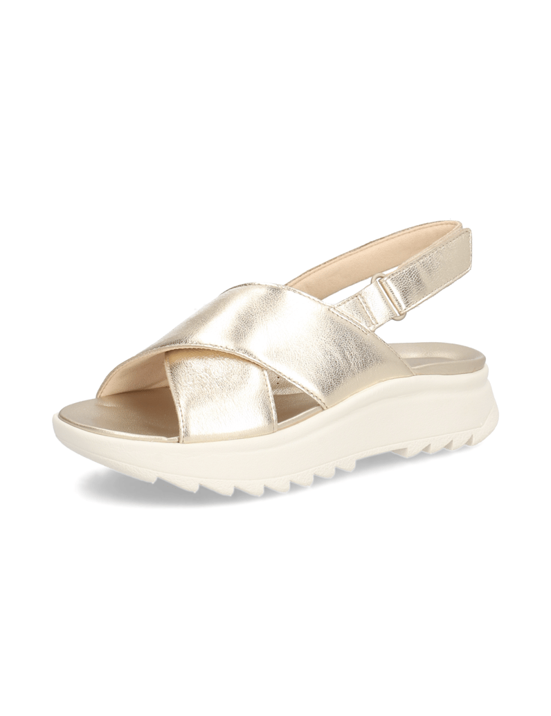 Clarks-W-DashLite-Wish-zlata