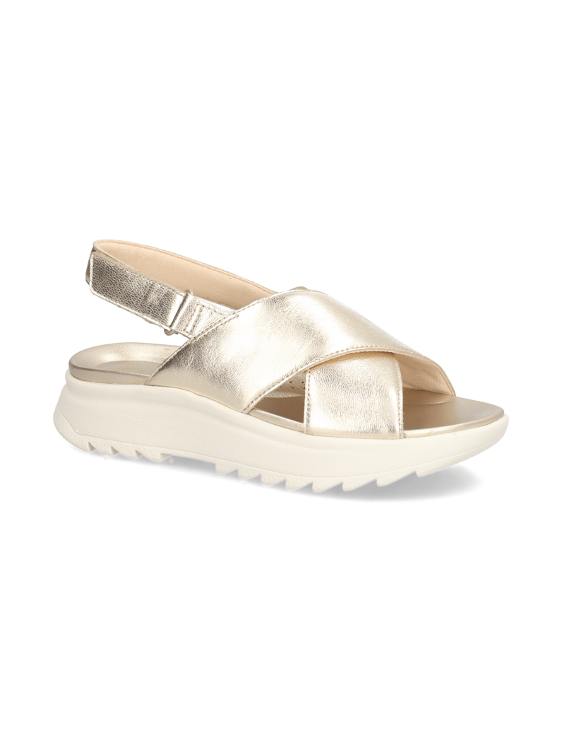 Clarks-W-DashLite-Wish-zlata