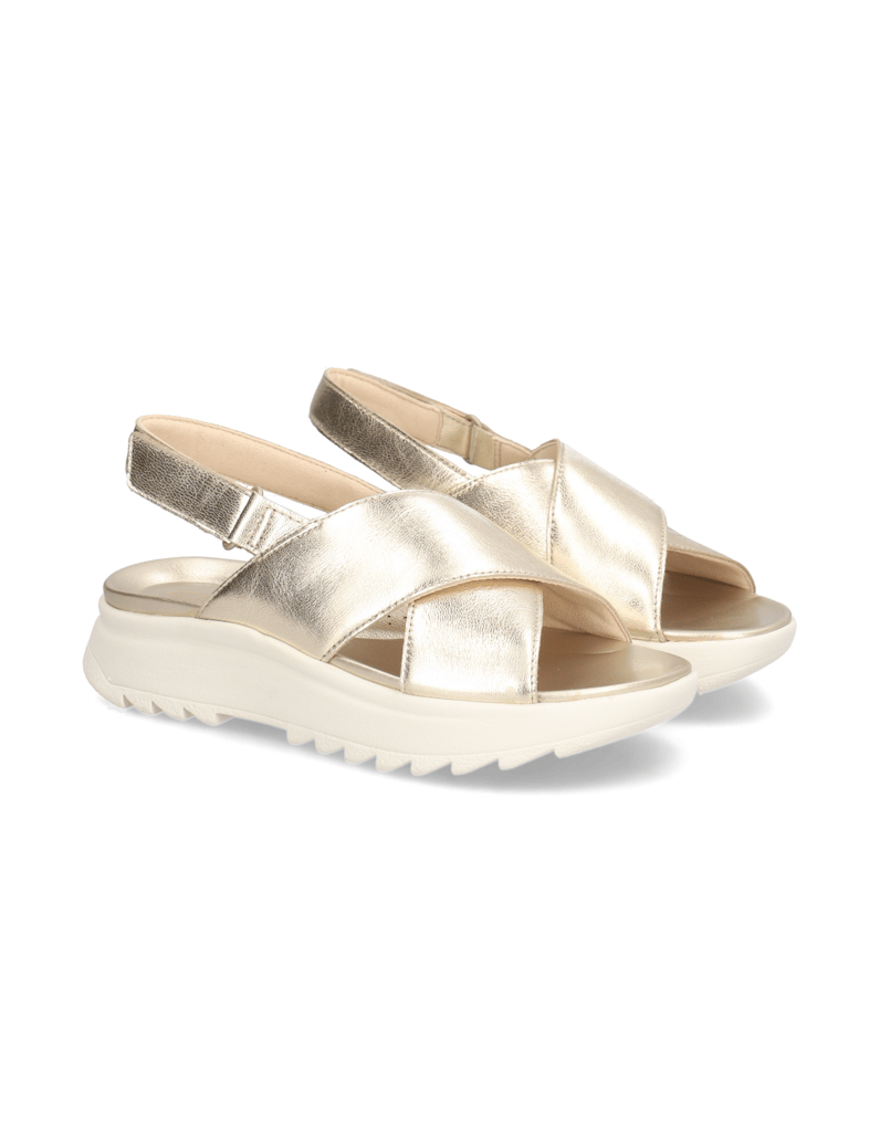 Clarks-W-DashLite-Wish-zlata