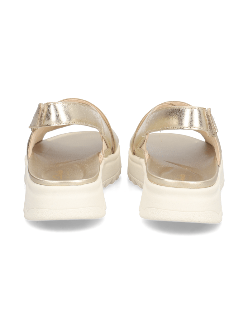 Clarks-W-DashLite-Wish-zlata