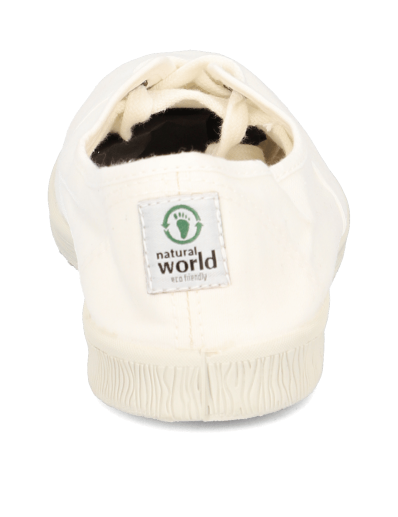 Natural-World-Arum-weiss