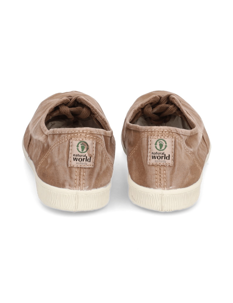 Natural-World-OLD-ARUM