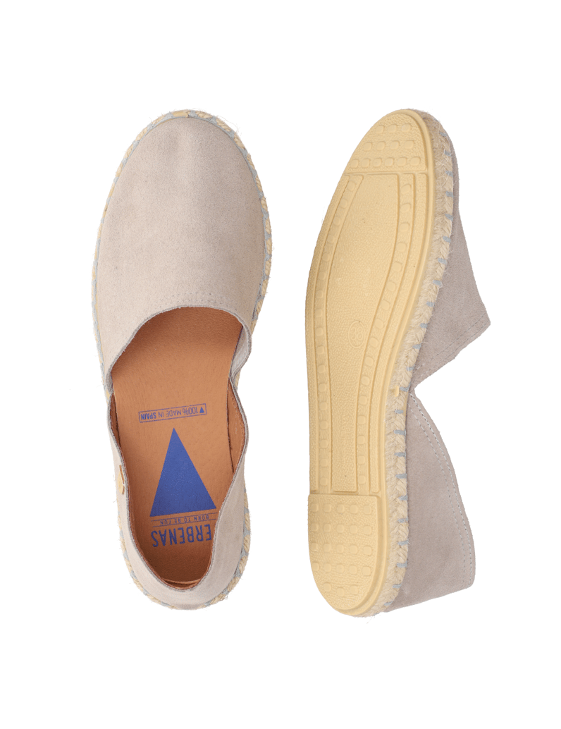 Verbenas-CARMEN-CALPE-blau