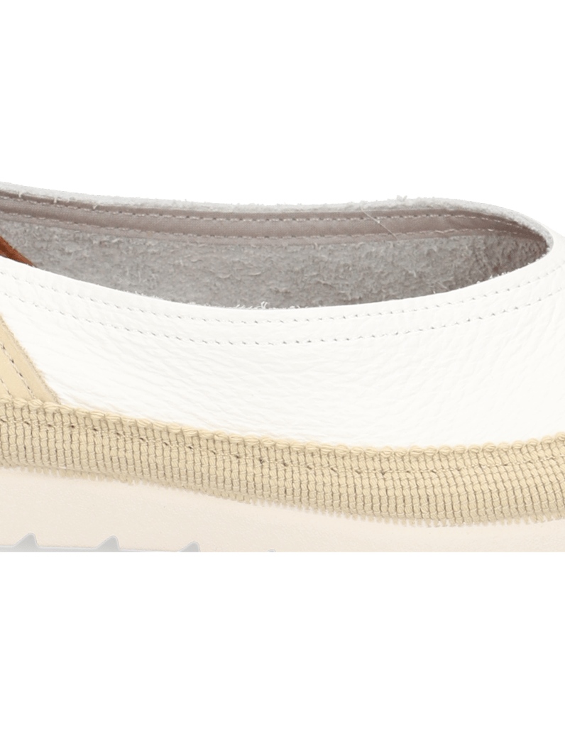 Verbenas-NOELIA-NERJA-weiss