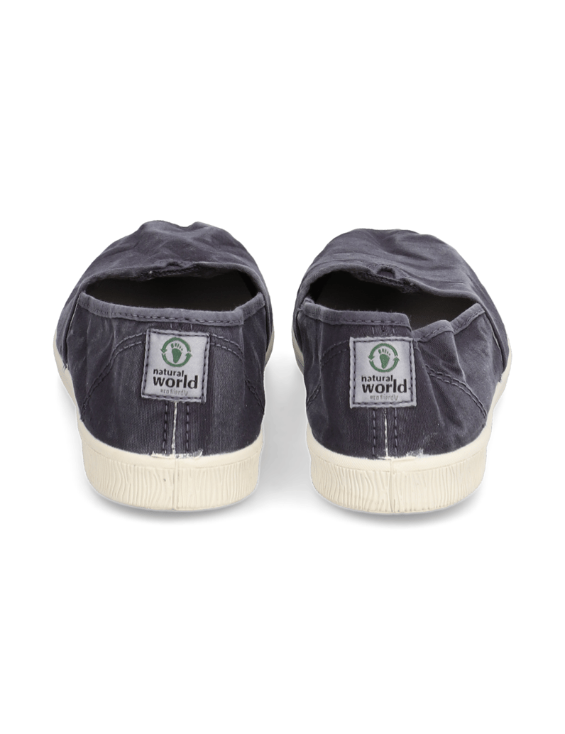 Natural-World-OLD-BONSAI