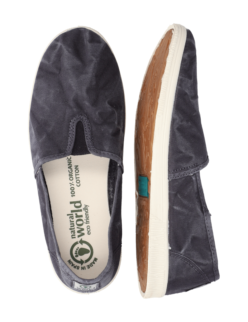 Natural-World-OLD-BONSAI