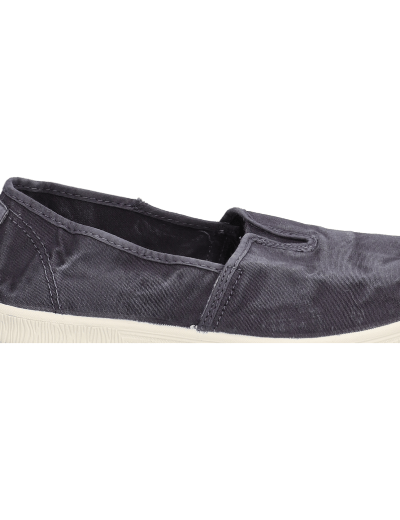 Natural-World-OLD-BONSAI