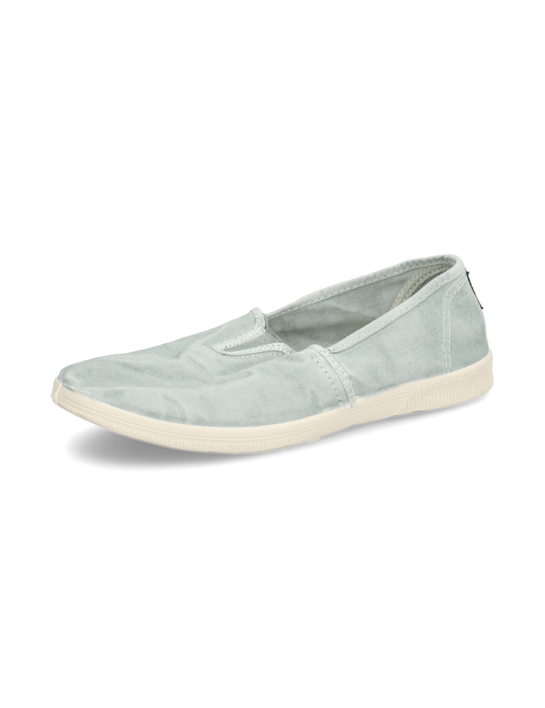 Natural-World-OLD-BONSAI