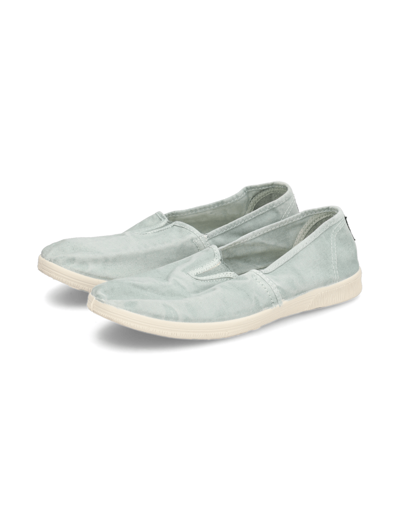 Natural-World-OLD-BONSAI