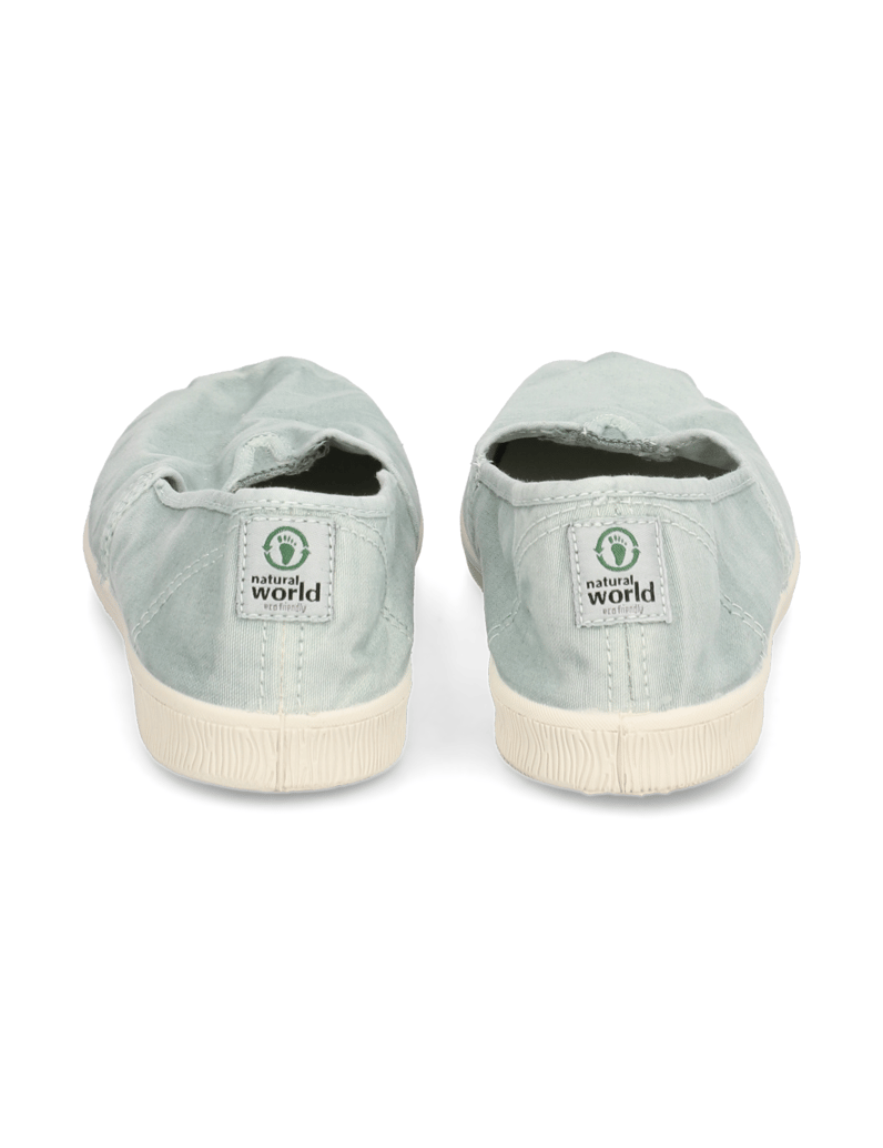 Natural-World-OLD-BONSAI