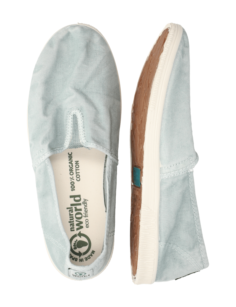 Natural-World-OLD-BONSAI