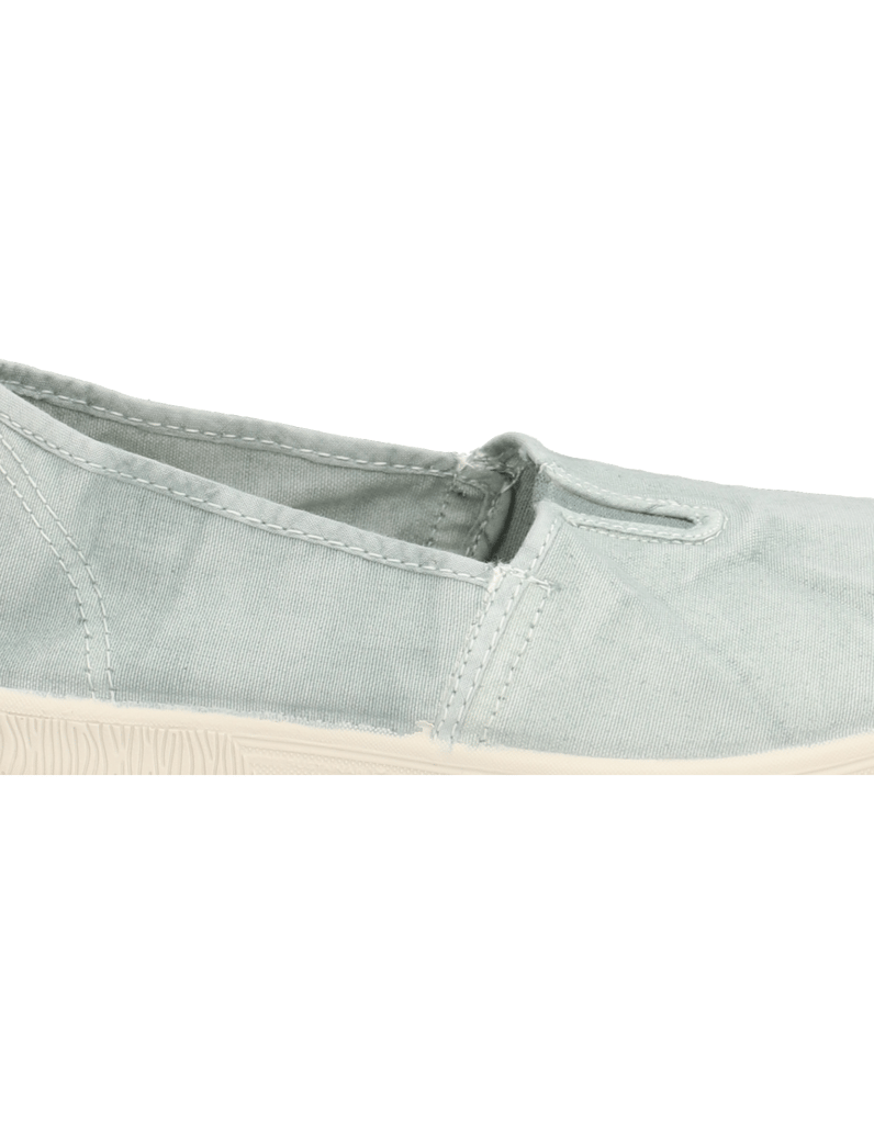 Natural-World-OLD-BONSAI