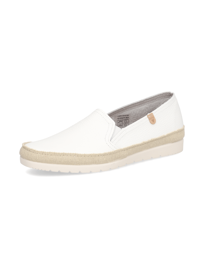 Verbenas-NURIA-NUCLEO-weiss