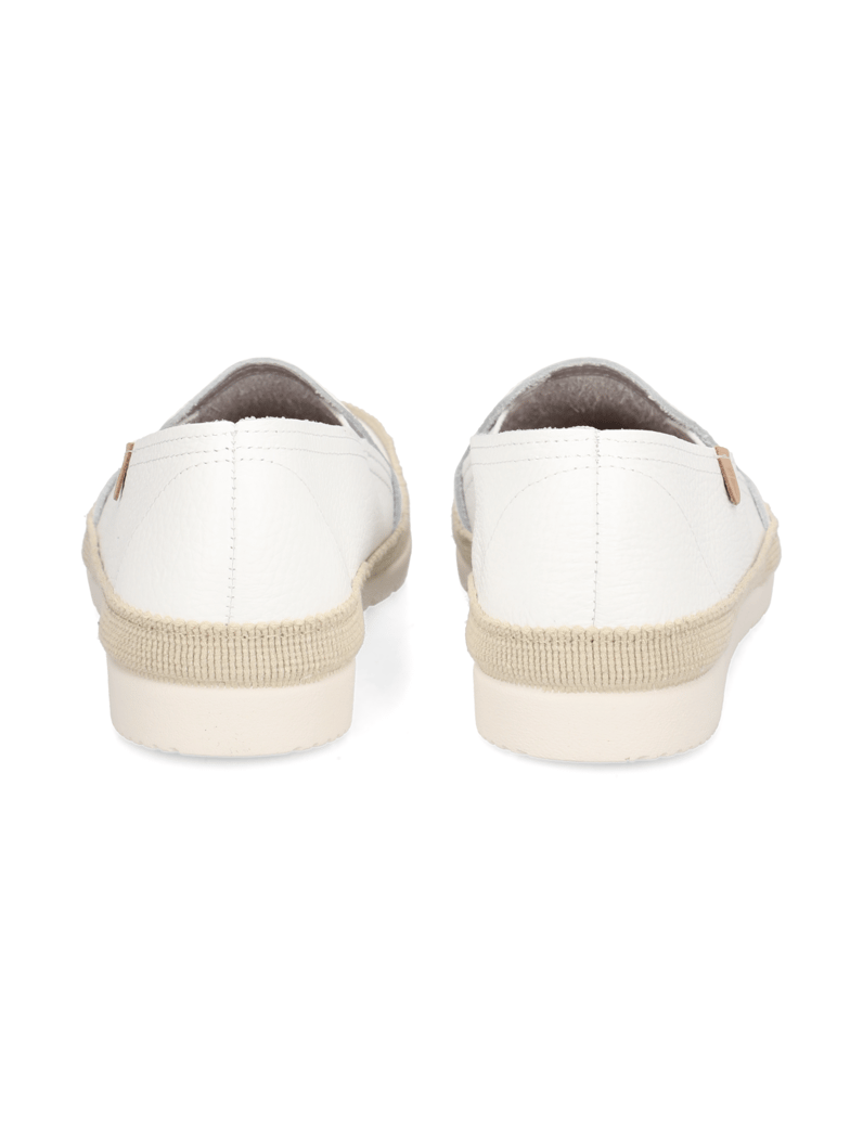 Verbenas-NURIA-NUCLEO-weiss