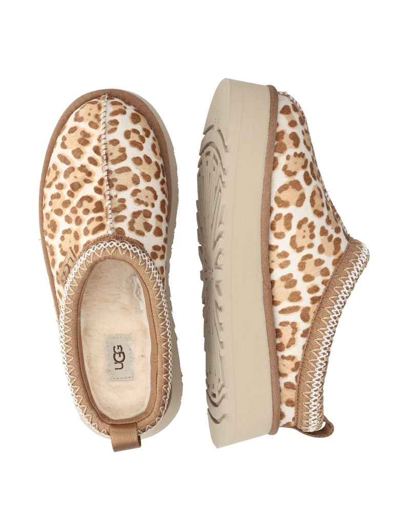 UGG-TAZZ-Plains-rjava
