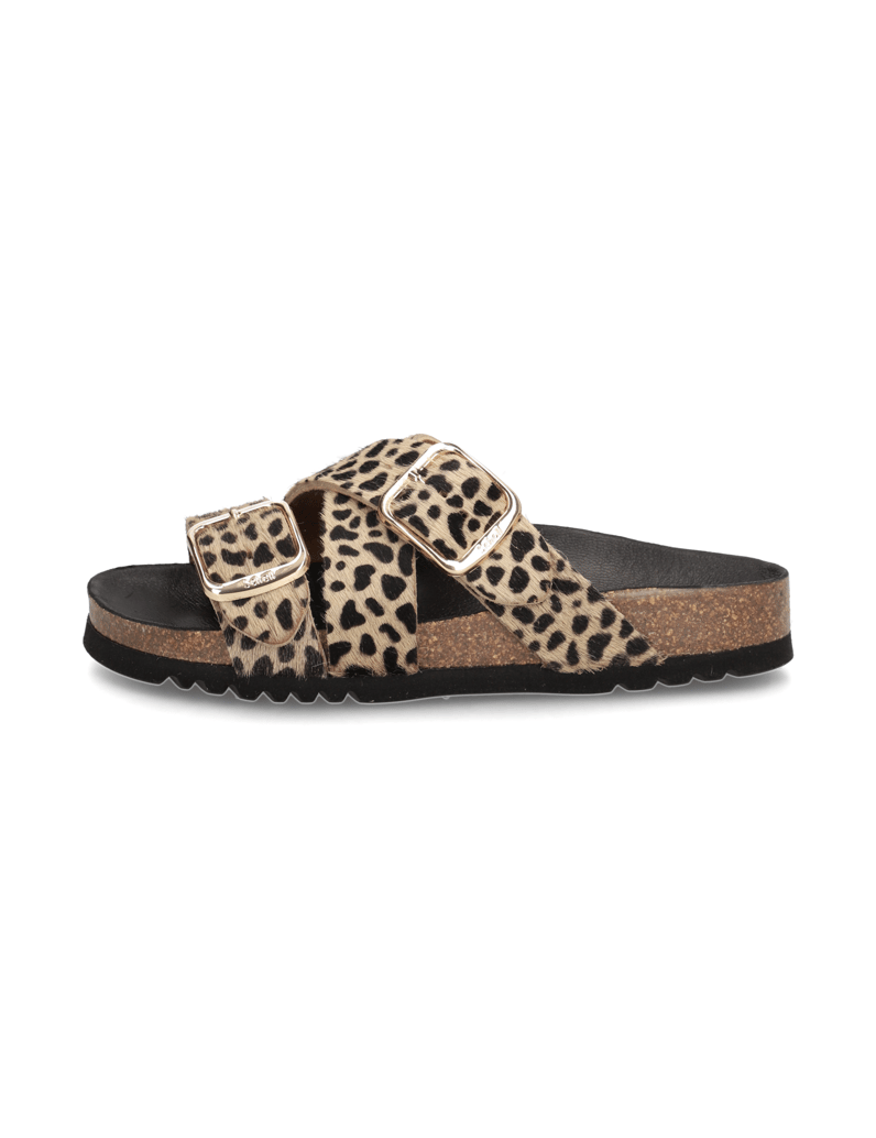 Scholl-Selene-rjava
