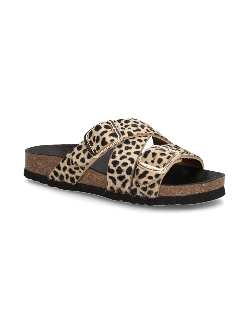 Scholl-Selene-rjava