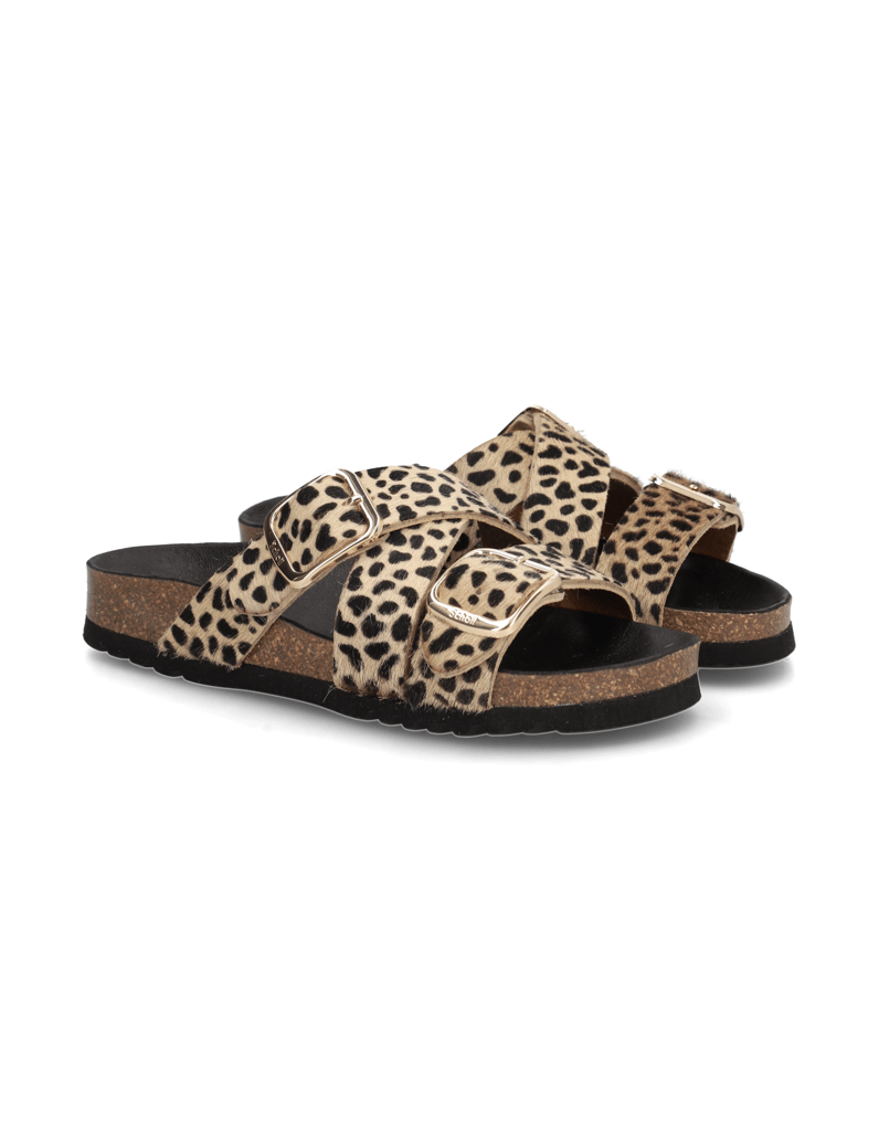 Scholl-Selene-rjava