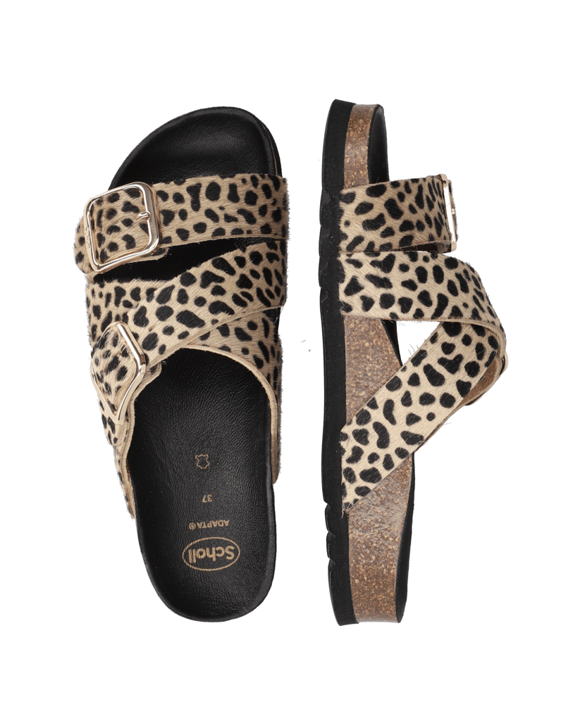 Scholl-Selene-rjava