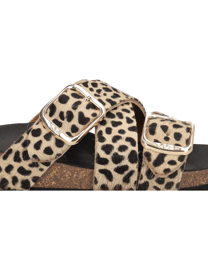Scholl-Selene-rjava