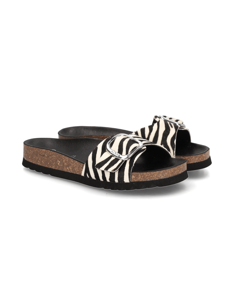 Scholl-Kathleen-biela