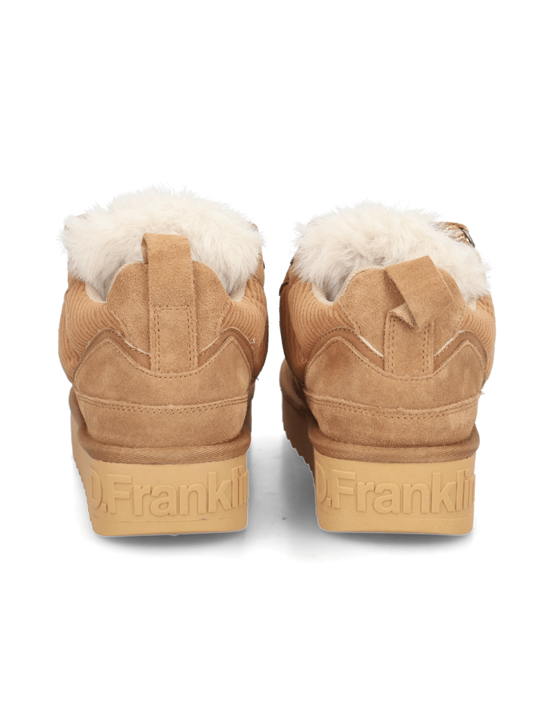 D.Franklin-NORDIC-zelena